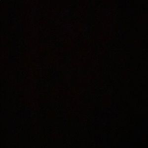 Meet your Posher, Denielle